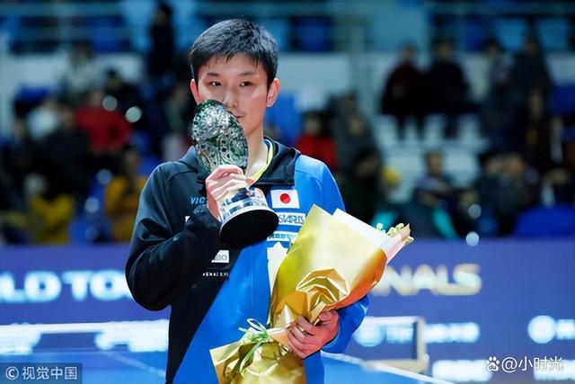 葡萄牙队横扫法国队,张本智和关键制胜 葡萄牙队横扫法国队,张本智和关键制胜